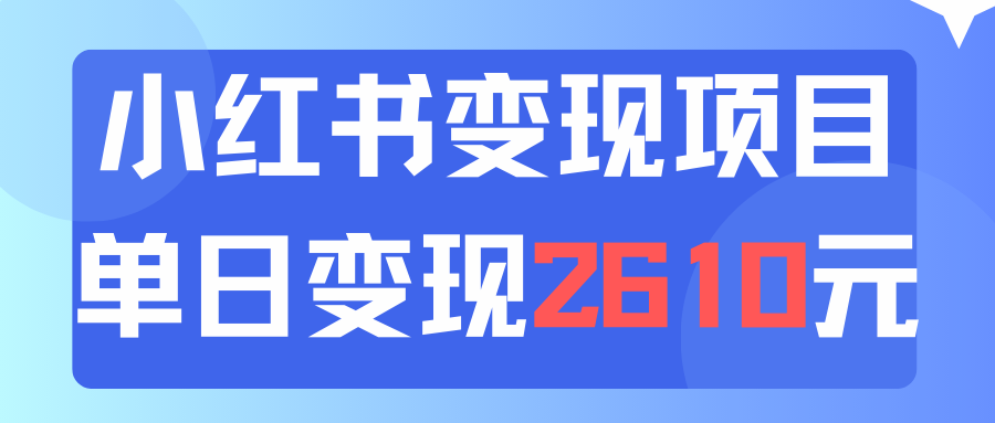 （11885期）利用小红书卖资料单日引流150人当日变现2610元小白可实操（教程+资料）-柠檬网创