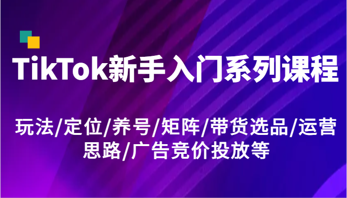 TikTok新手入门系列课程，玩法/定位/养号/矩阵/带货选品/运营思路/广告竞价投放等-柠檬网创