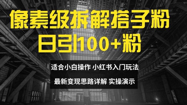 像素级拆解搭子粉，日引100+，小白看完可上手，最新变现思路详解【揭秘】-柠檬网创