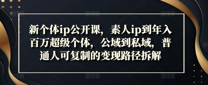 新个体ip公开课，素人ip到年入百万超级个体，公域到私域，普通人可复制的变现路径拆解-柠檬网创