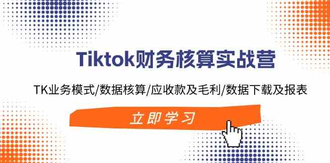Tiktok财务核算实战营：TK业务模式/数据核算/应收款及毛利/数据下载及报表-柠檬网创