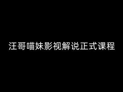 汪哥影视解说正式课程：剪映/PR教学/视解说剪辑5大黄金法则/全流程剪辑7把利器等等-柠檬网创