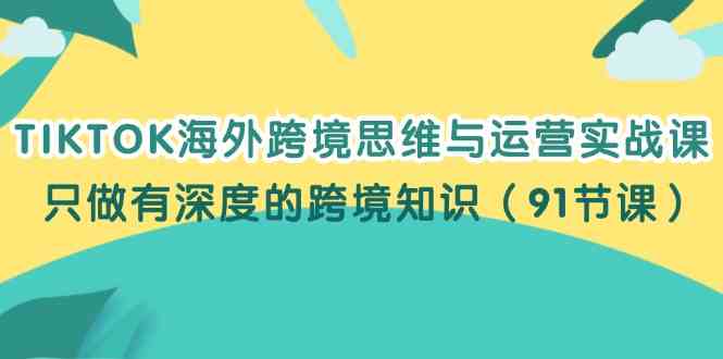 TIKTOK海外跨境思维与运营实战课，只做有深度的跨境知识（91节课）-柠檬网创