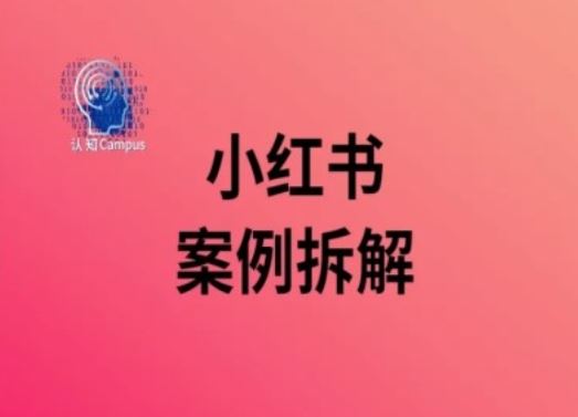 小红书案例拆解，深度解读小红书40万粉-柠檬网创