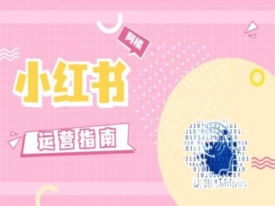 小红书运营指南，没有套路，全是经验-柠檬网创