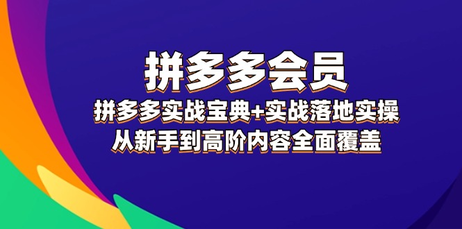 （12056期）拼多多 会员，拼多多实战宝典+实战落地实操，从新手到高阶内容全面覆盖-柠檬网创