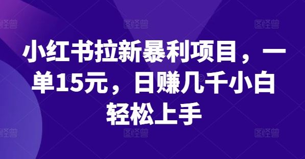 小红书拉新暴利项目，一单15元，日赚几千小白轻松上手【揭秘】-柠檬网创