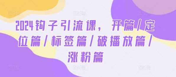 2024钩子引流课，开篇/定位篇/标签篇/破播放篇/涨粉篇-柠檬网创