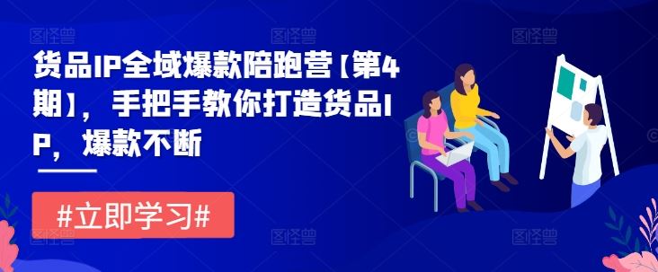 货品IP全域爆款陪跑营【第4期】，手把手教你打造货品IP，爆款不断-柠檬网创