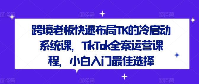 跨境老板快速布局TK的冷启动系统课，TikTok全案运营课程，小白入门最佳选择-柠檬网创
