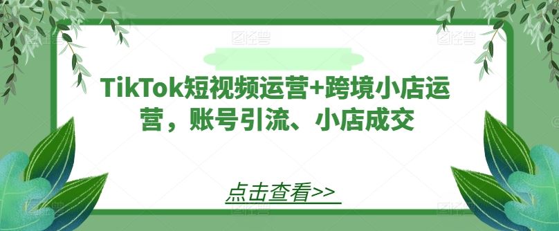 TikTok短视频运营+跨境小店运营，账号引流、小店成交-柠檬网创