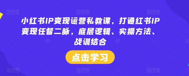 小红书IP变现运营私教课，打通红书IP变现任督二脉，底层逻辑、实操方法、战训结合-柠檬网创