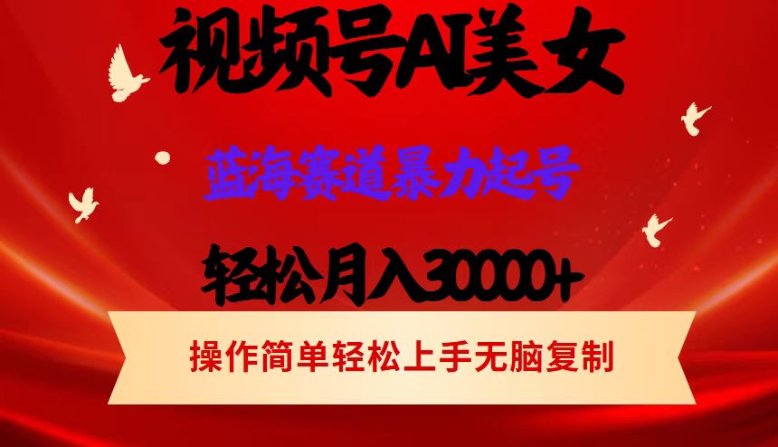 （12178期）视频号AI美女跳舞，轻松月入30000+，蓝海赛道，流量池巨大，起号猛，当…-柠檬网创
