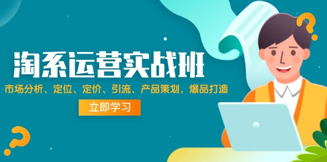 （12186期）淘系运营实战班：市场分析、定位、定价、引流、产品策划，爆品打造-柠檬网创