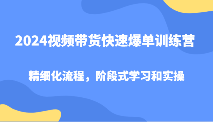 2024视频带货快速爆单训练营，精细化流程，阶段式学习和实操-柠檬网创