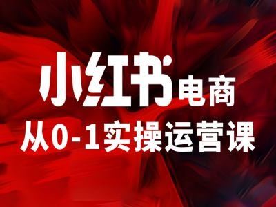 小红书电商从0-1实操运营课，让你从小白到精英-柠檬网创