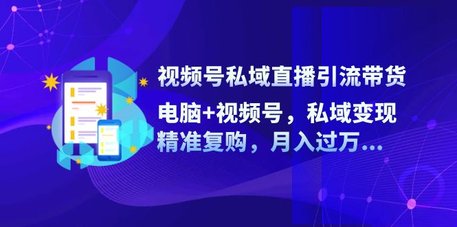 （12249期）视频号私域直播引流带货：电脑+视频号，私域变现，精准复购，月入过万…-柠檬网创