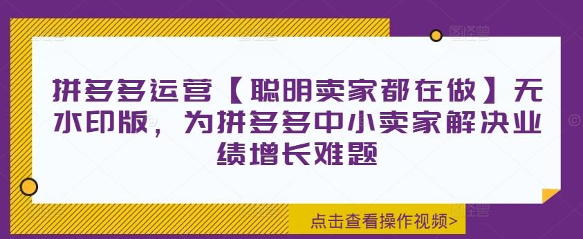 拼多多运营【聪明卖家都在做】无水印版，为拼多多中小卖家解决业绩增长难题-柠檬网创