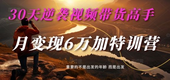 30天逆袭视频带货高手，单月变现6万加特训营-麦子甜-柠檬网创