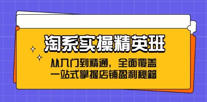 （12276期）淘系实操精英班：从入门到精通，全面覆盖，一站式掌握店铺盈利秘籍-柠檬网创