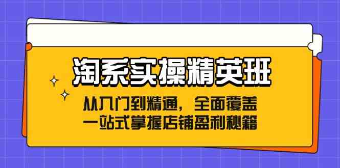 淘系实操精英班：从入门到精通，全面覆盖，一站式掌握店铺盈利秘籍-柠檬网创