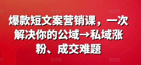 爆款短文案营销课，一次解决你的公域→私域涨粉、成交难题-柠檬网创