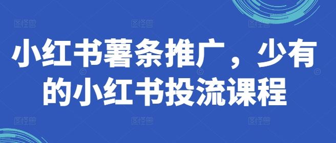 小红书薯条推广，少有的小红书投流课程-柠檬网创