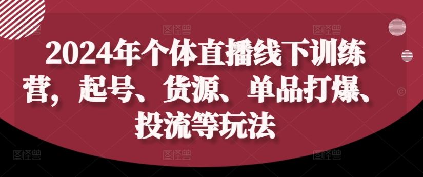 2024年个体直播训练营，起号、货源、单品打爆、投流等玩法-柠檬网创