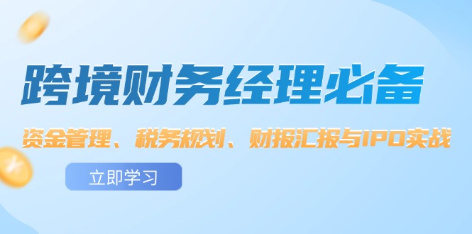 （12323期）跨境 财务经理必备：资金管理、税务规划、财报汇报与IPO实战-柠檬网创
