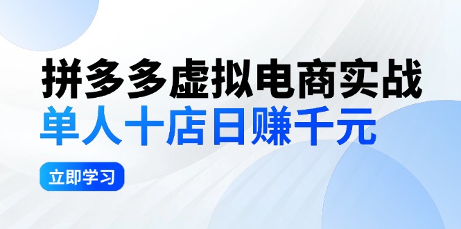 （12326期）拼多多虚拟电商实战：单人10店日赚千元，深耕老项目，稳定盈利不求风口-柠檬网创