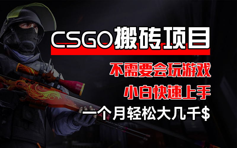 （12332期）CSGO 装备搬砖项目，操作简单，不需要会玩游戏，小白也能快速上手，一…-柠檬网创