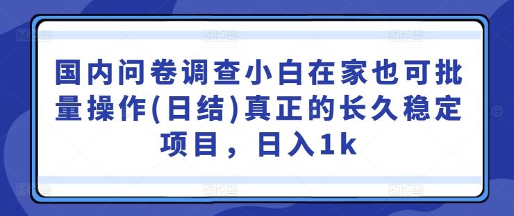 国内问卷调查小白在家也可批量操作(日结)真正的长久稳定项目，日入1k【揭秘】-柠檬网创
