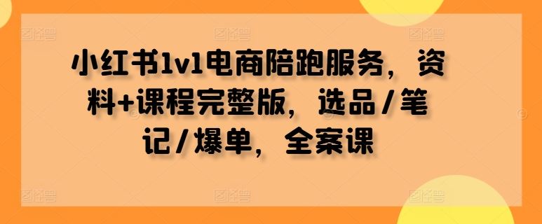 小红书1v1电商陪跑服务，资料+课程完整版，选品/笔记/爆单，全案课-柠檬网创