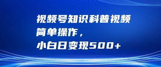 视频号知识科普视频，简单操作，小白日变现500+【揭秘】-柠檬网创