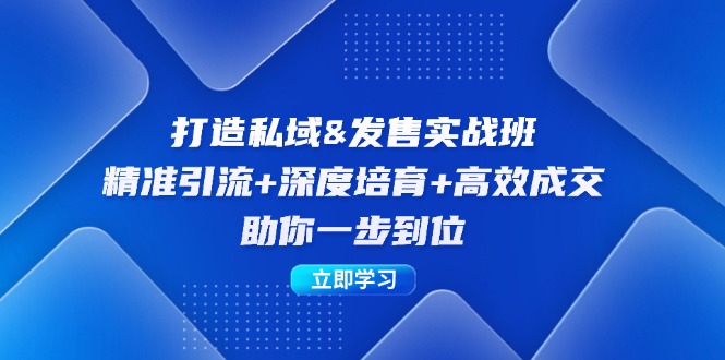 （12642期）打造私域&发售实操班：精准引流+深度培育+高效成交，助你一步到位-柠檬网创