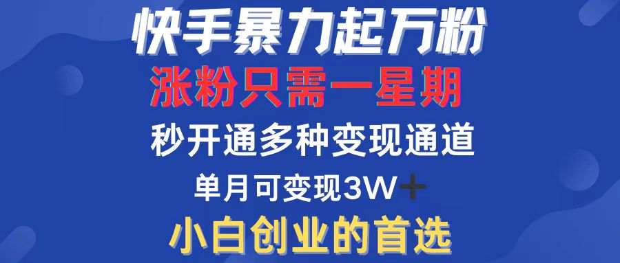 （12651期）快手暴力起万粉，涨粉只需一星期，多种变现模式，直接秒开万合，小白创…-柠檬网创