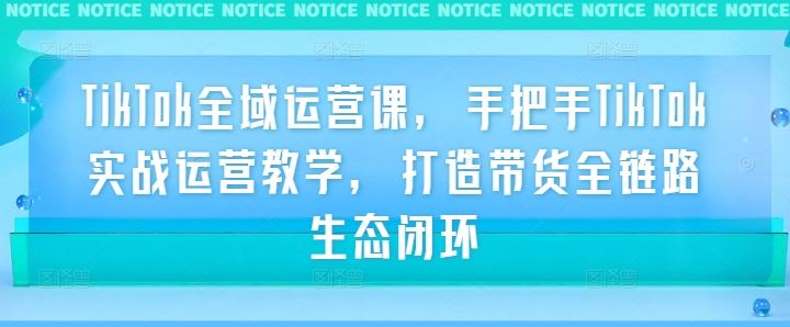 TikTok全域运营课，手把手TikTok实战运营教学，打造带货全链路生态闭环-柠檬网创