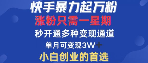 快手暴力起万粉，涨粉只需一星期，多种变现模式，直接秒开万合，单月变现过W【揭秘】-柠檬网创