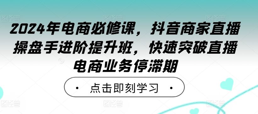 2024年电商必修课，抖音商家直播操盘手进阶提升班，快速突破直播电商业务停滞期-柠檬网创