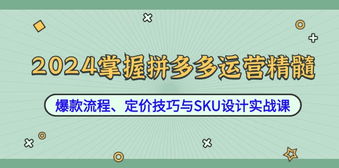 （12703期）2024掌握拼多多运营精髓：爆款流程、定价技巧与SKU设计实战课-柠檬网创