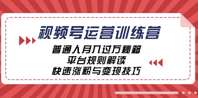 （12722期）视频号运营训练营：普通人月入过万秘籍，平台规则解读，快速涨粉与变现…-柠檬网创