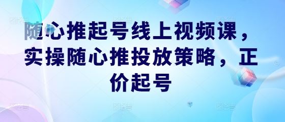 随心推起号线上视频课，实操随心推投放策略，正价起号-柠檬网创