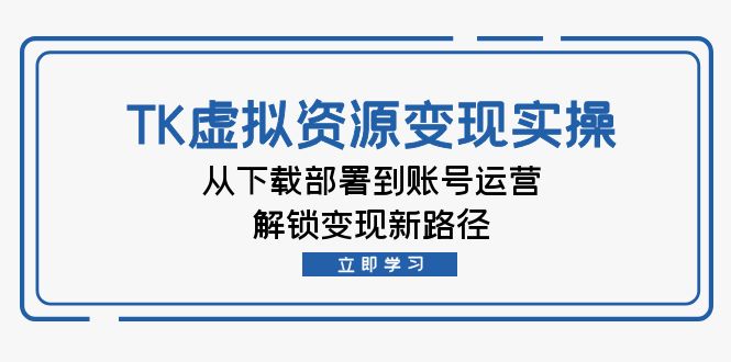 （12770期）TK虚拟资源变现实操：从下载部署到账号运营，解锁变现新路径-柠檬网创