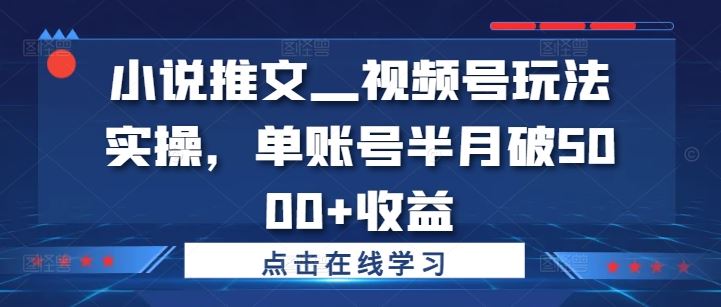 小说推文—视频号玩法实操，单账号半月破5000+收益-柠檬网创