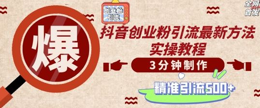 轻松制作创业类视频，一天被动加精准创业粉500+【揭秘】-柠檬网创
