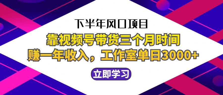 （12849期）下半年风口项目，靠视频号带货三个月时间赚一年收入，工作室实测单日3…-柠檬网创