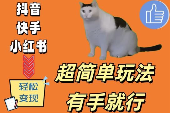 超简单玩法，有手就行，靠猫咪视频日入500+【揭秘】-柠檬网创