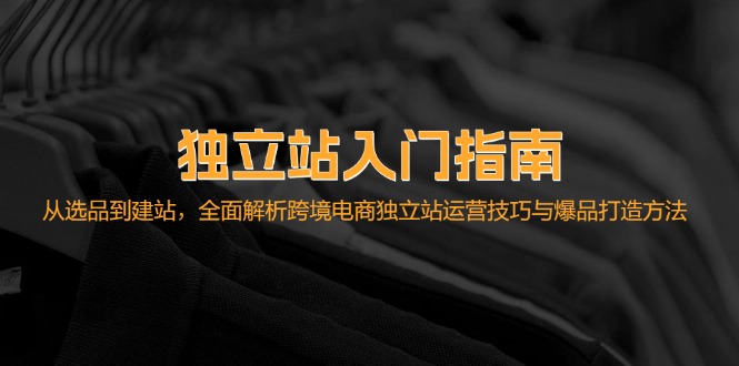 （12882期）独立站入门指南：从选品到建站，全面解析跨境电商独立站运营技巧与爆品…-柠檬网创