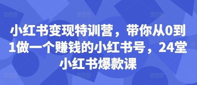 小红书变现特训营，带你从0到1做一个赚钱的小红书号，24堂小红书爆款课-柠檬网创