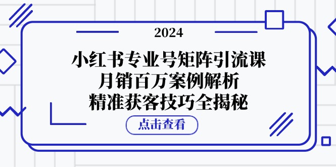 小红书专业号矩阵引流课，月销百万案例解析，精准获客技巧全揭秘-柠檬网创